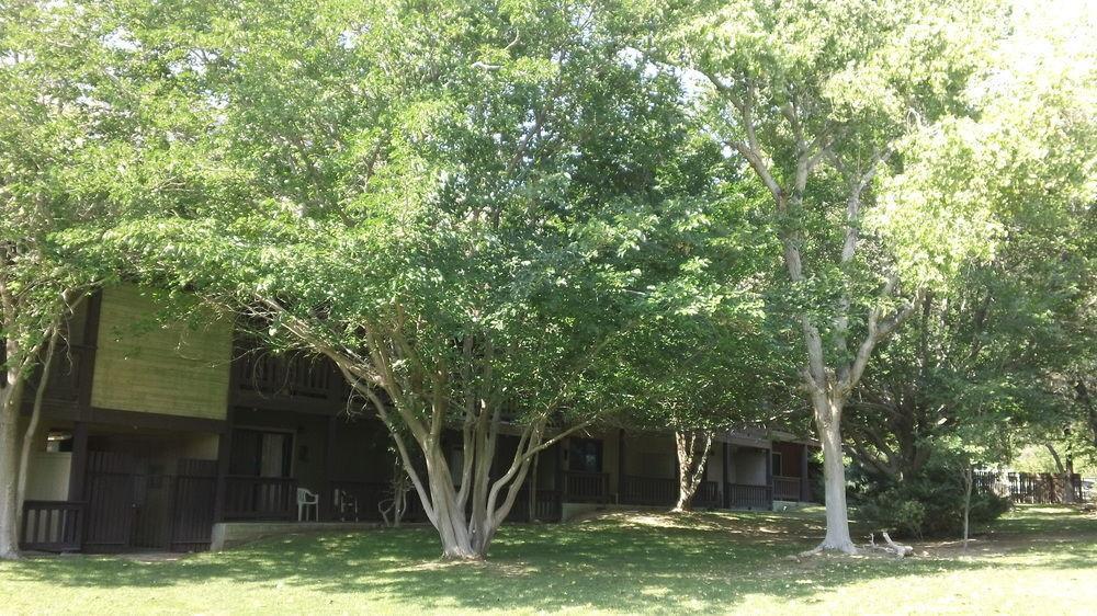 Bonnie Springs Ranch Motel Blue Diamond Exterior foto