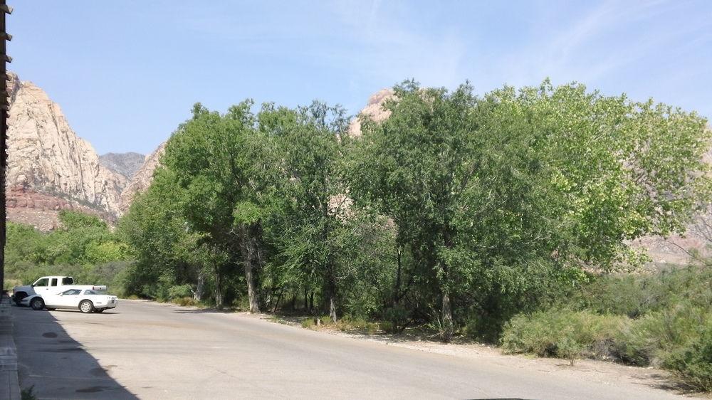 Bonnie Springs Ranch Motel Blue Diamond Exterior foto